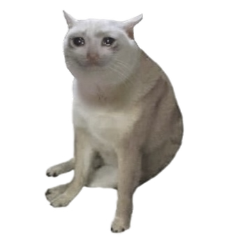 Cash Cat 吉祥物形象