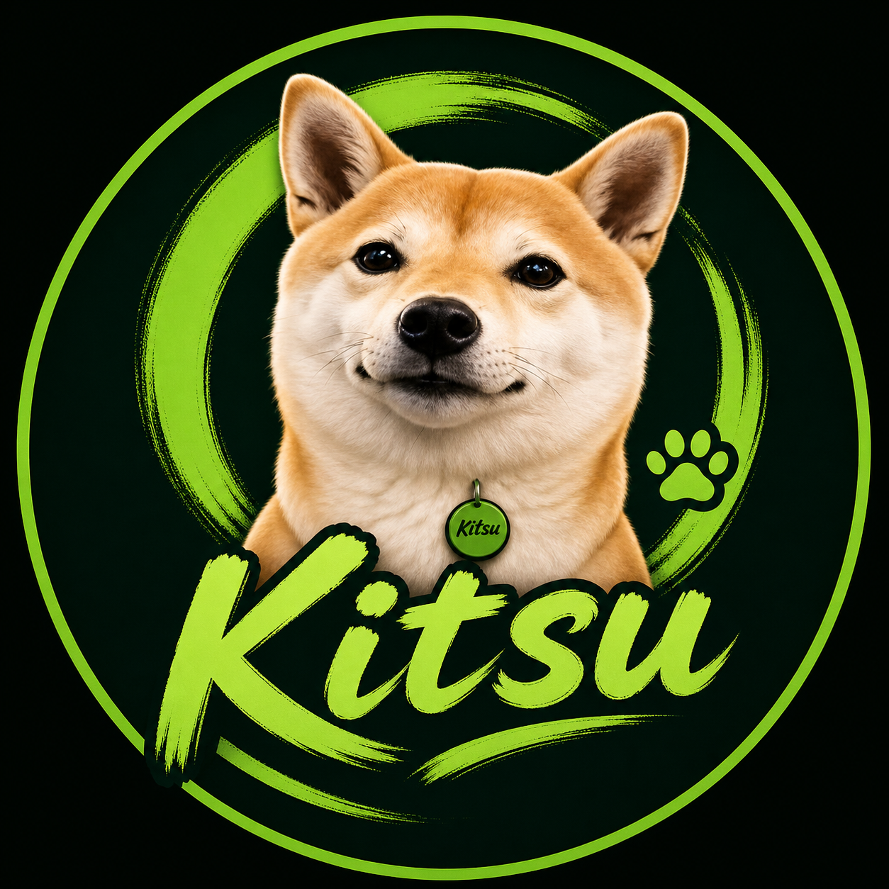 Kitsu 吉祥物 — Vlad Tenev 爱犬的微笑形象