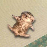 relaxed cat RELAX Logo