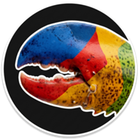 ShelleyBay Logo