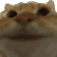 yepcat YEP Logo